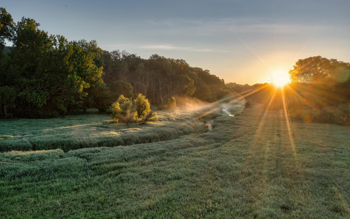 The Biggest Home Selling Mistakes Sellers Make in Spring in Rochester, Minnesota